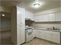 Newly renovated Apartment 