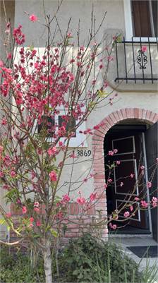 Beautiful Townhouse 2 PN + 2.5 PT