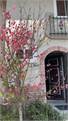 Beautiful Townhouse 2 PN + 2.5 PT