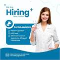 Cần Dental Assistant