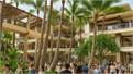 Cần Sang Nhà Hàng Tại Waikiki, Hawaii. Khu Đông Khách Nhất!